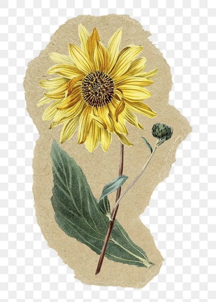 Sunflower Pin